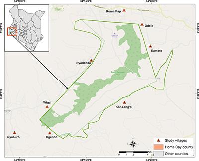 Prevalence of Trypanosome Species in Cattle Near Ruma National Park, Lambwe Valley, Kenya: An Update From the Historical Focus for African Trypanosomosis